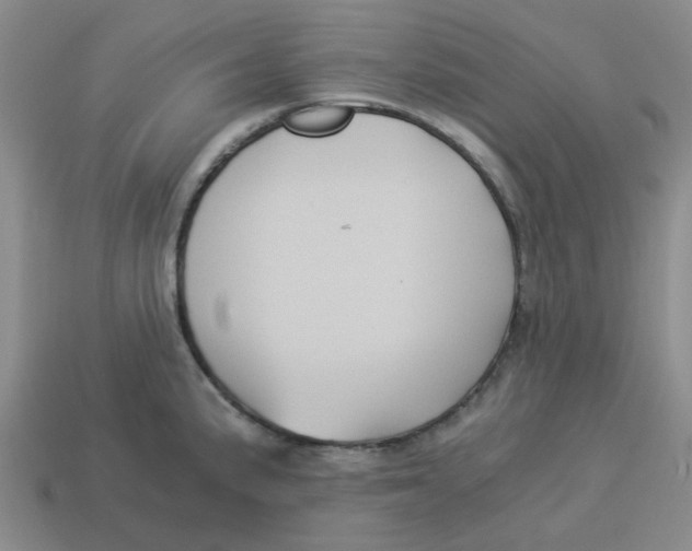 X0000114191191200911061356