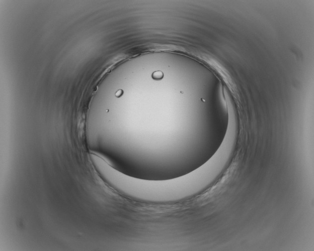 X0000114191193200911061356