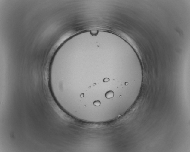 X0000114191195200911061356