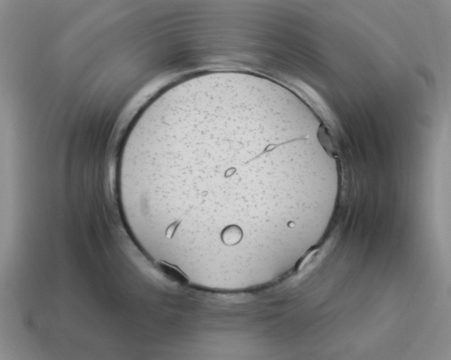 X0000114191196200911061356