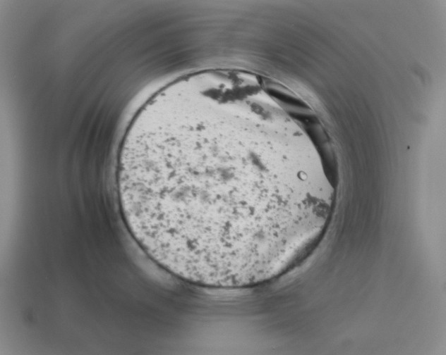 X0000114191200200911061356