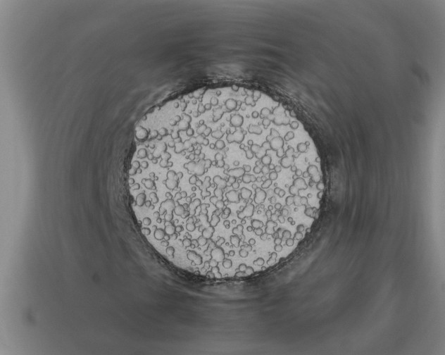 X0000114191201200911061355