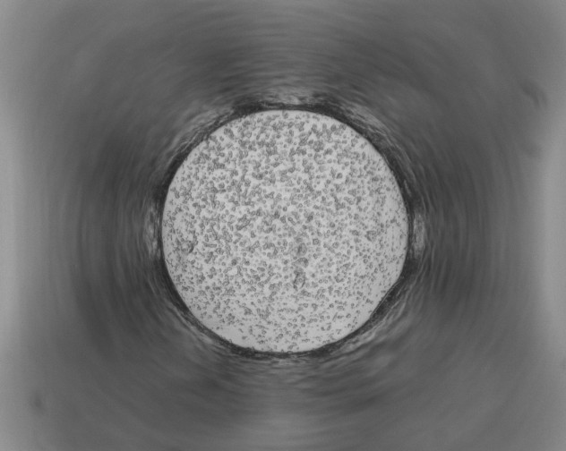 X0000114191202200911061355