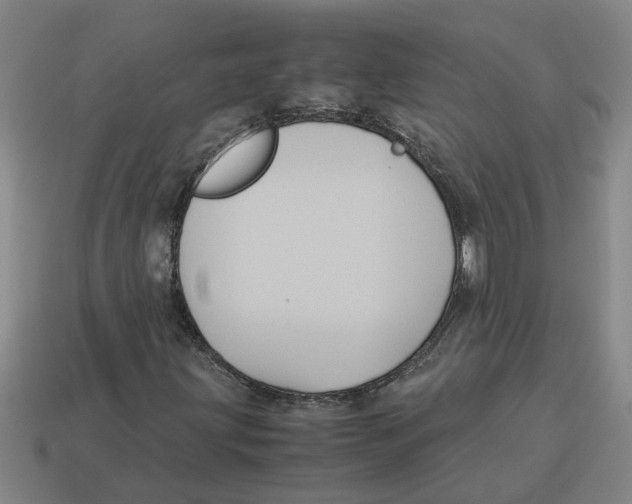X0000114191203200911061355