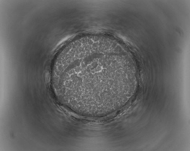 X0000114191206200911061355