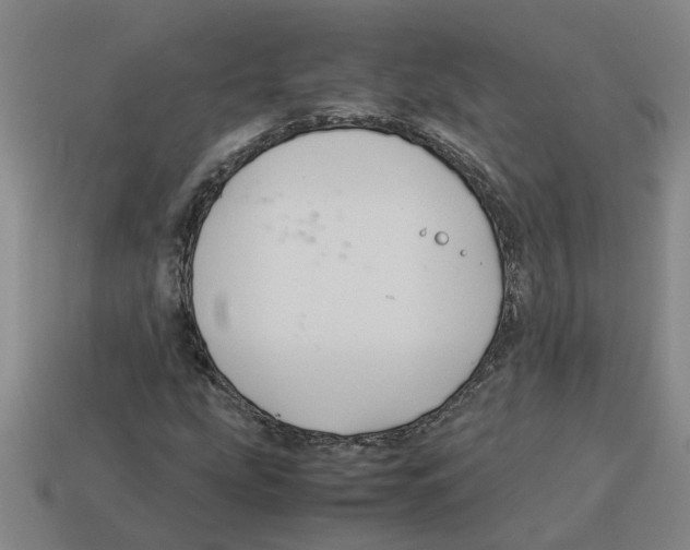 X0000114191207200911061355
