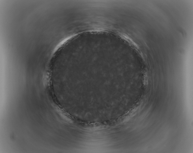 X0000114191208200911061355