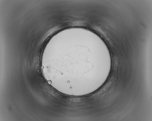 X0000114191211200911061356