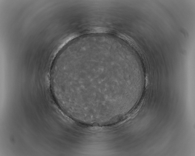 X0000114191212200911061356