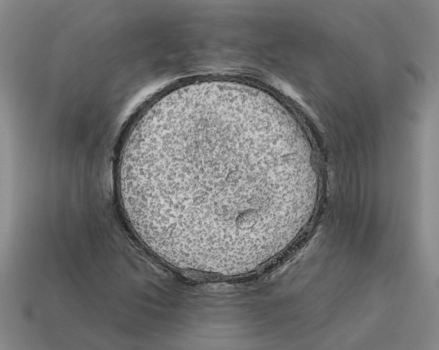 X0000114191214200911061356