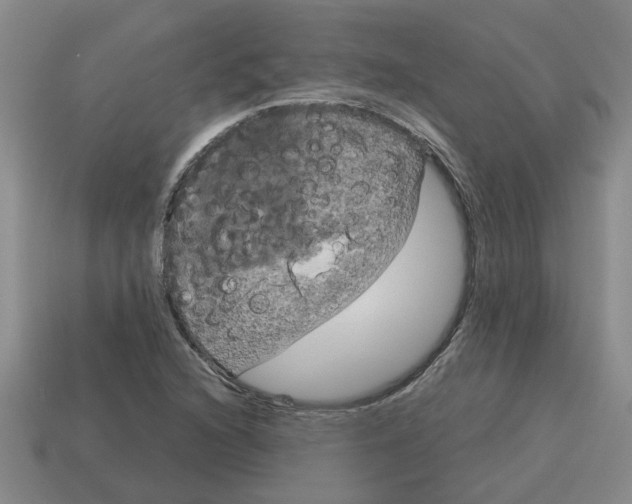 X0000114191216200911061356