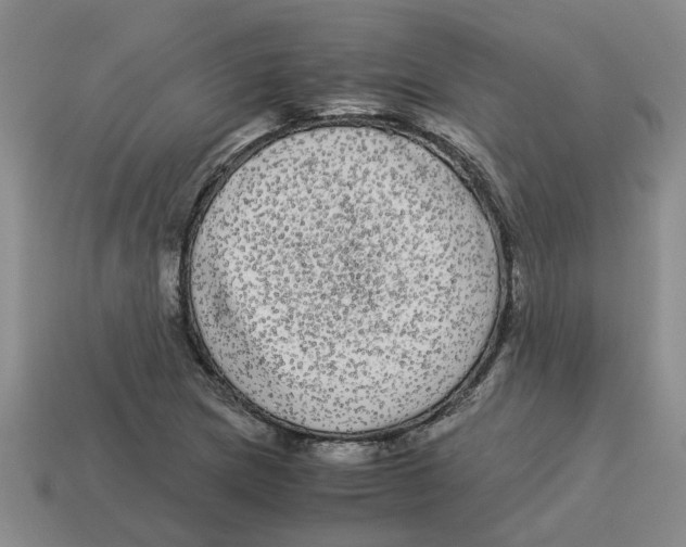 X0000114191217200911061356