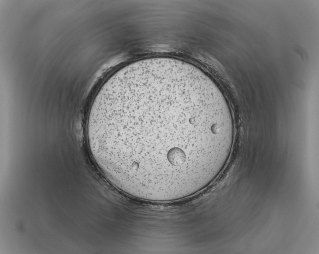 X0000114191218200911061356