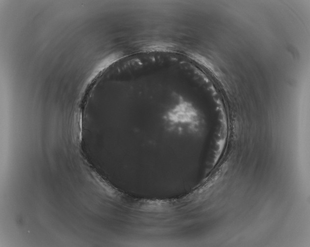 X0000114191219200911061356