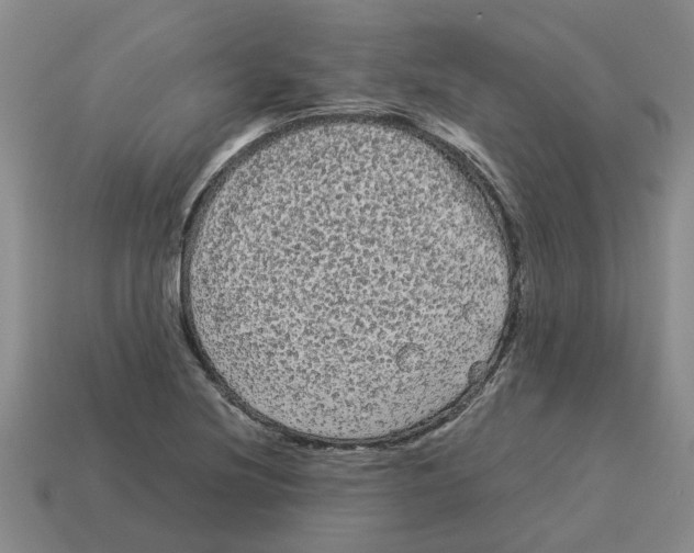 X0000114191220200911061356