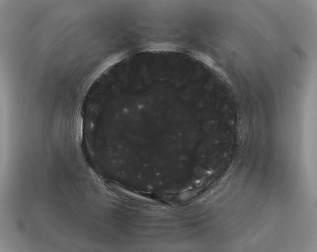 X0000114191221200911061356