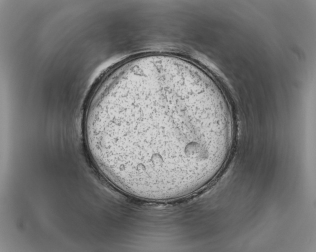 X0000114191222200911061356