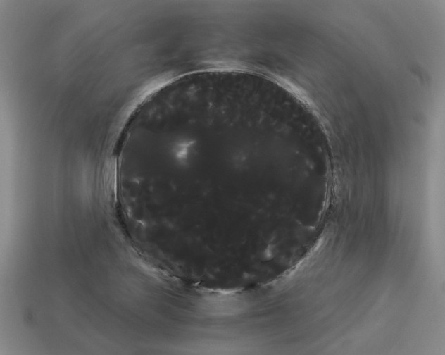 X0000114191223200911061356