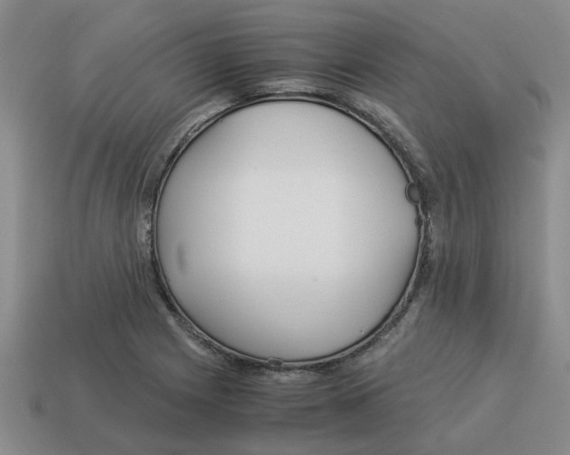 X0000114191225200911061356