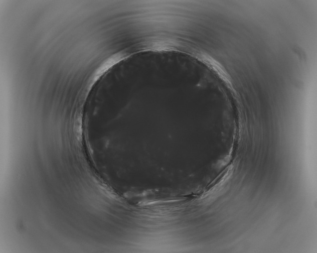 X0000114191226200911061356