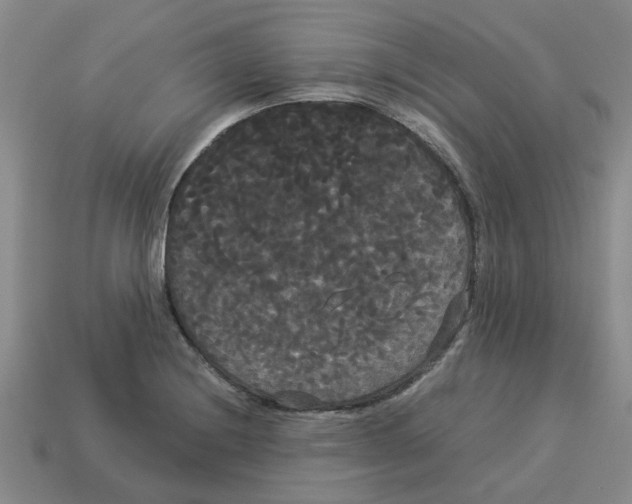 X0000114191228200911061356