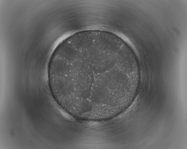 X0000114191230200911061356