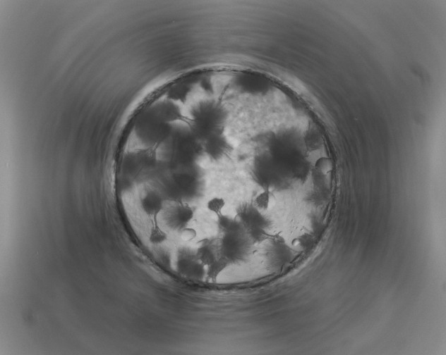 X0000114191232200911061356