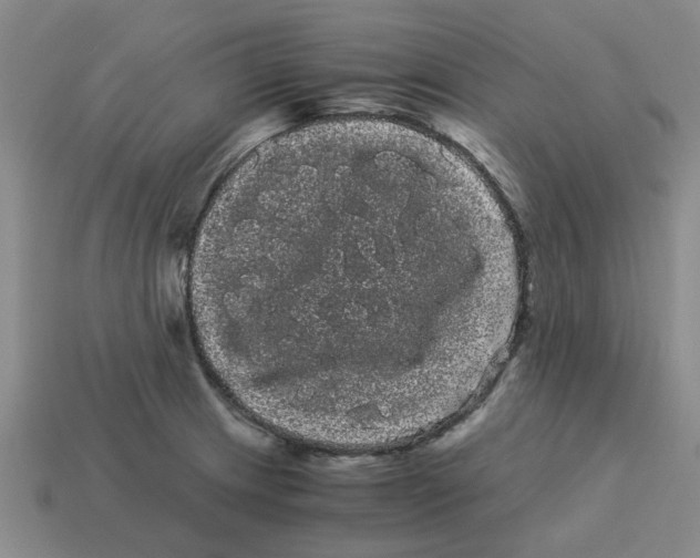 X0000114191233200911061356