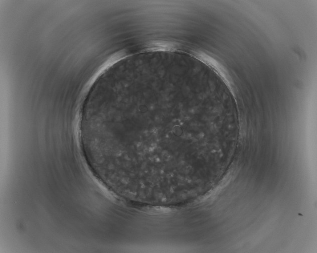 X0000114191235200911061356