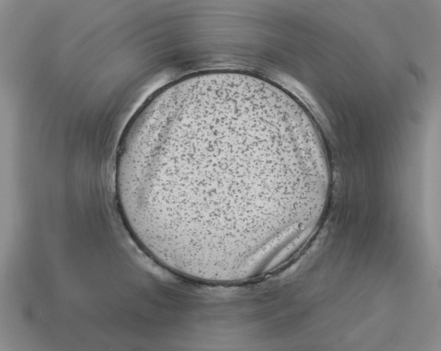 X0000114191236200911061356