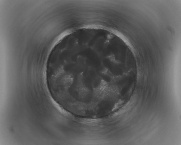 X0000114191237200911061356