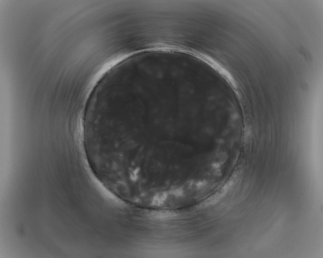 X0000114191239200911061356