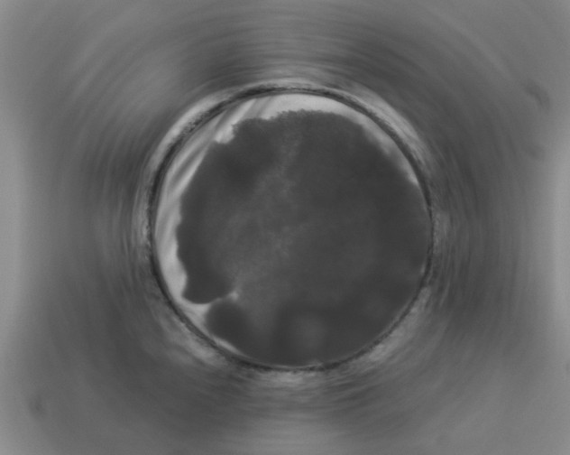 X0000114191240200911061356