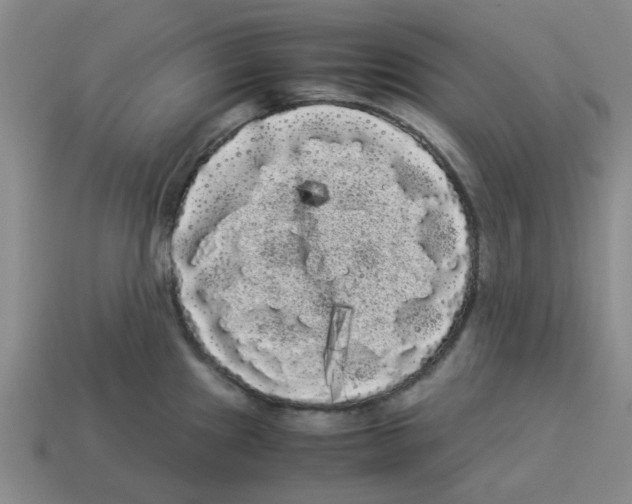 X0000114191241200911061356