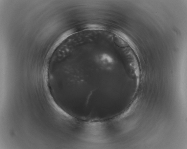 X0000114191243200911061356