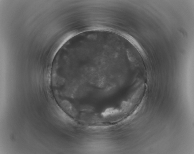 X0000114191244200911061356