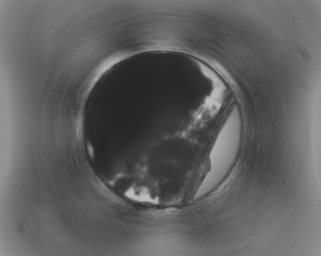 X0000114191246200911061356