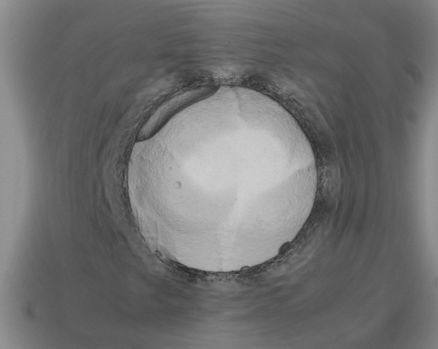 X0000114191249200911061355