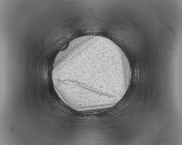 X0000114191250200911061355