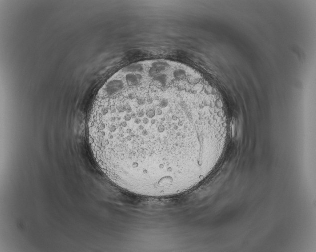 X0000114191251200911061355