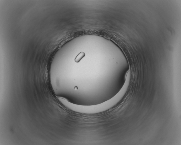 X0000114191252200911061355