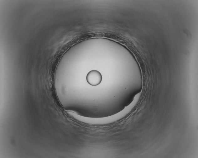 X0000114191253200911061355