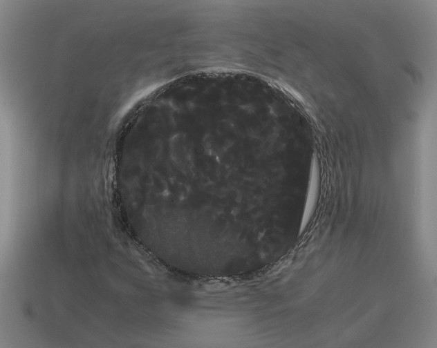 X0000114191255200911061355