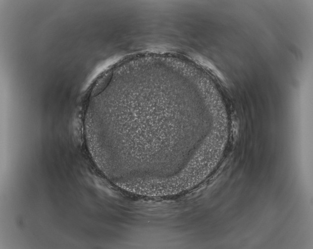 X0000114191256200911061355