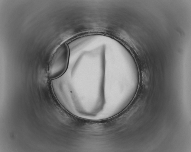 X0000114191260200911061355