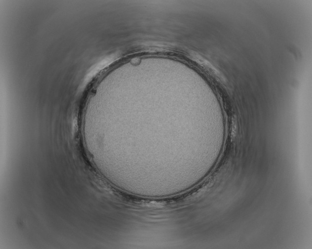 X0000114191261200911061355