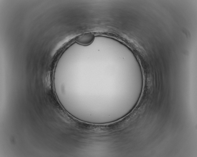 X0000114191262200911061355