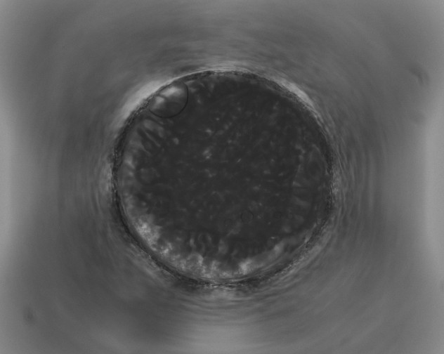 X0000114191263200911061355