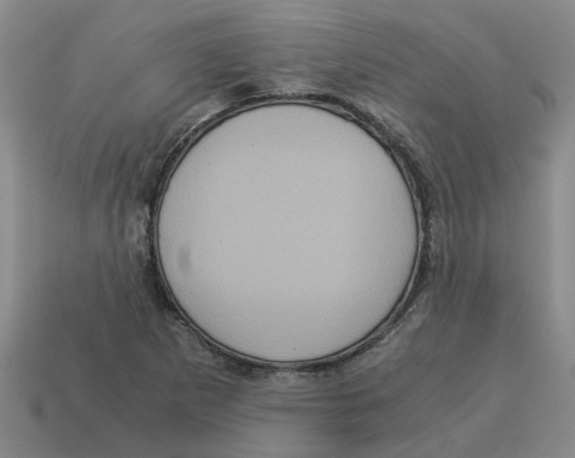 X0000114191265200911061355