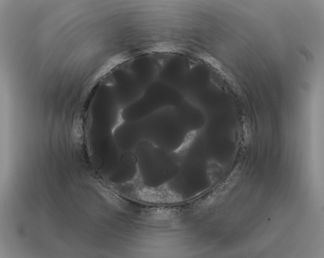 X0000114191266200911061355
